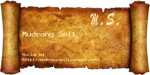 Mudrony Solt névjegykártya